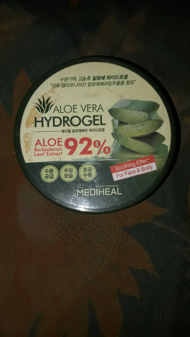 agaven giftig Agave 